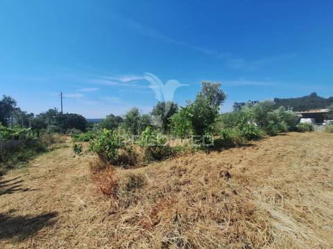 Terreno, madeiras, vila nova da barquinha