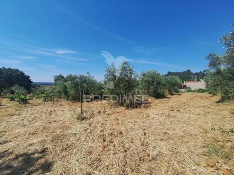 Terreno, madeiras, vila nova da barquinha