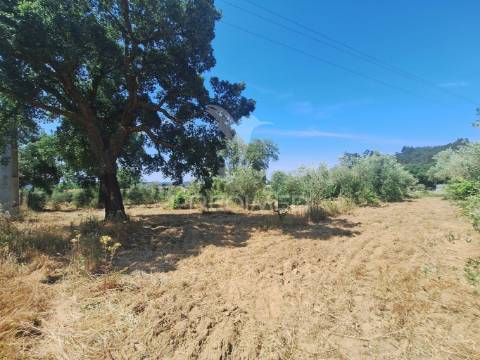 Terreno, madeiras, vila nova da barquinha