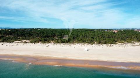 Terreno com 31.5ha com 500 metros de frente de praia