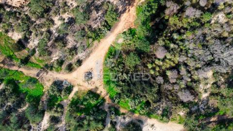 Terreno com 31.5ha com 500 metros de frente de praia