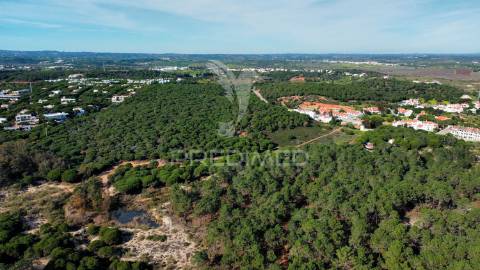 Terreno com 31.5ha com 500 metros de frente de praia