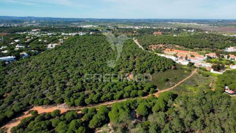 Terreno com 31.5ha com 500 metros de frente de praia