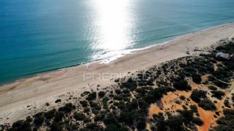 Terreno com 31.5ha com 500 metros de frente de praia