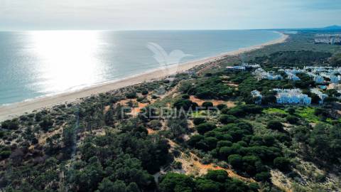 Terreno com 31.5ha com 500 metros de frente de praia