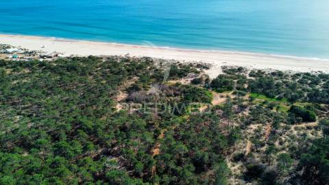 Terreno com 31.5ha com 500 metros de frente de praia
