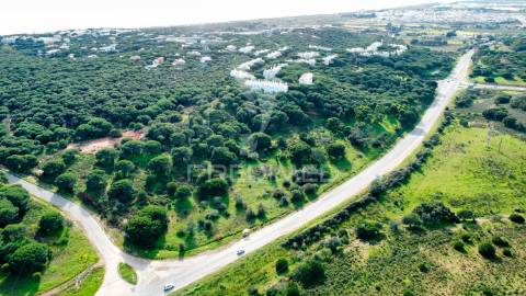Terreno com 31.5ha com 500 metros de frente de praia