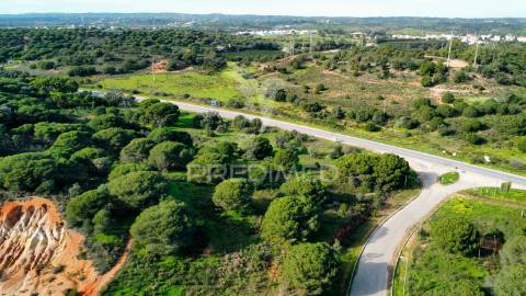 Terreno com 31.5ha com 500 metros de frente de praia