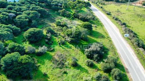 Terreno com 31.5ha com 500 metros de frente de praia