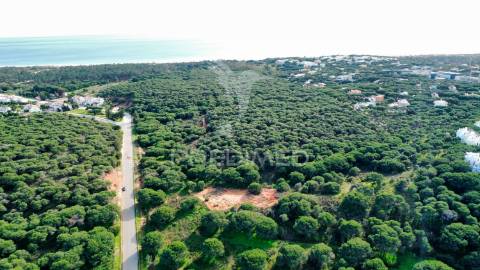 Terreno com 31.5ha com 500 metros de frente de praia