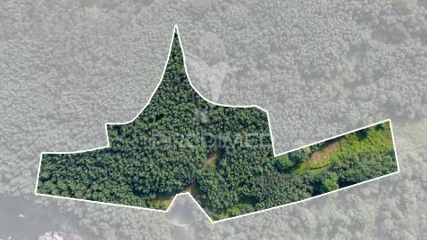 Terreno rústico com 37.700 m² e margem de rio – oportunidade única em braga