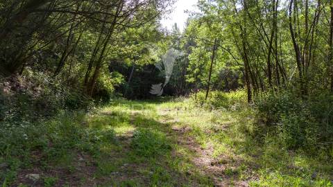 Terreno rústico com 37.700 m² e margem de rio – oportunidade única em braga