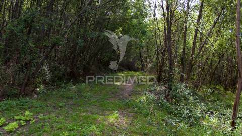 Terreno rústico com 37.700 m² e margem de rio – oportunidade única em braga