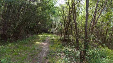 Terreno rústico com 37.700 m² e margem de rio – oportunidade única em braga