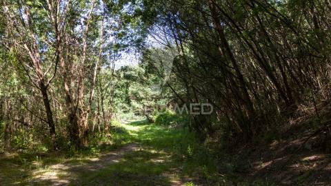 Terreno rústico com 37.700 m² e margem de rio – oportunidade única em braga