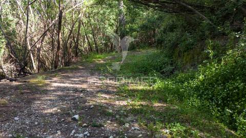 Terreno rústico com 37.700 m² e margem de rio – oportunidade única em braga