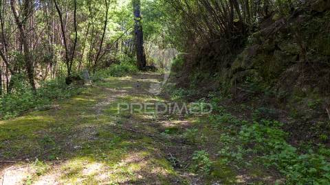 Terreno rústico com 37.700 m² e margem de rio – oportunidade única em braga