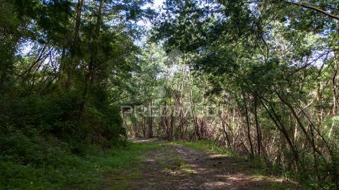 Terreno rústico com 37.700 m² e margem de rio – oportunidade única em braga