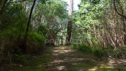Terreno rústico com 37.700 m² e margem de rio – oportunidade única em braga
