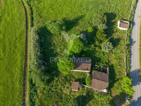 Herdade de 15ha com monte em estremoz