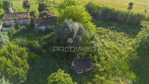 Herdade de 15ha com monte em estremoz