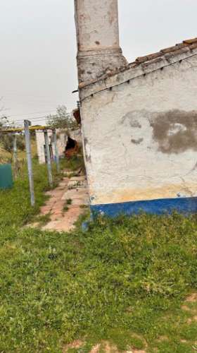 Herdade de 15ha com monte em estremoz