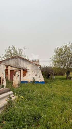 Herdade de 15ha com monte em estremoz