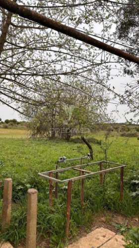 Herdade de 15ha com monte em estremoz