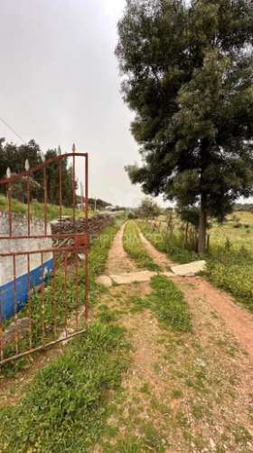 Herdade de 15ha com monte em estremoz