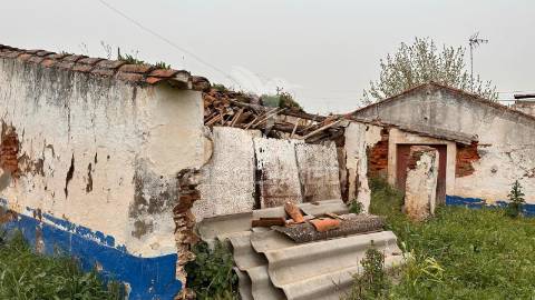Herdade de 15ha com monte em estremoz