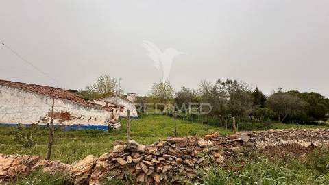 Herdade de 15ha com monte em estremoz