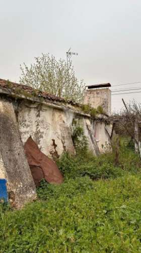 Herdade de 15ha com monte em estremoz