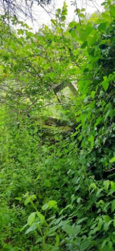 Herdade de 15ha com monte em estremoz