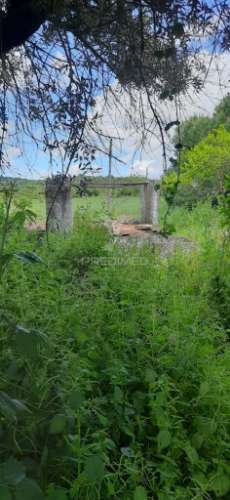 Herdade de 15ha com monte em estremoz