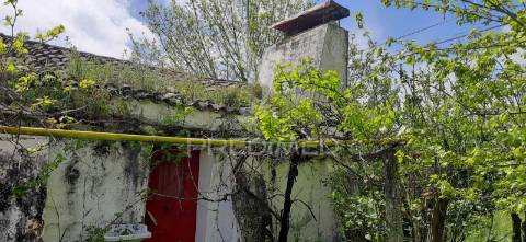 Herdade de 15ha com monte em estremoz