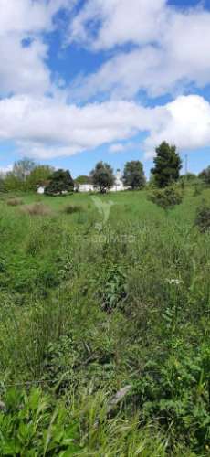 Herdade de 15ha com monte em estremoz