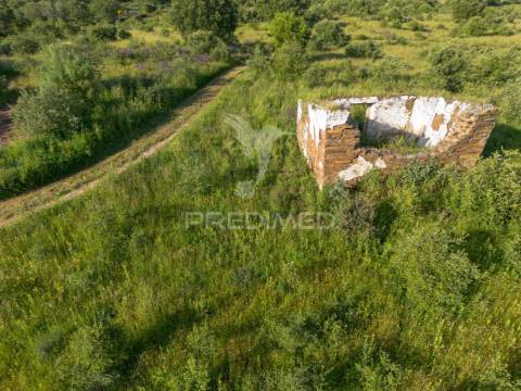 Herdade de 15ha com monte em estremoz