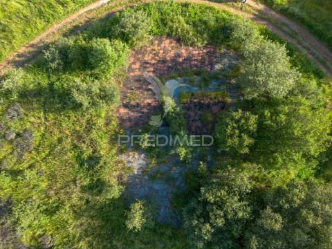 Herdade de 15ha com monte em estremoz