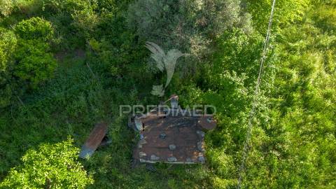 Herdade de 15ha com monte em estremoz