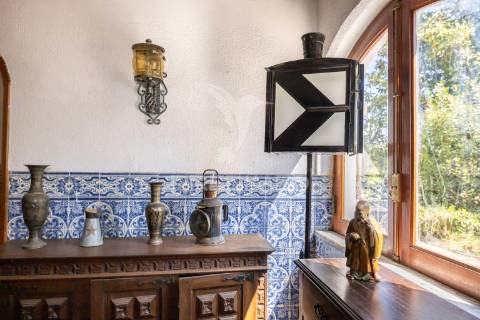 Quinta com terreno de 6500m2 no barreiro