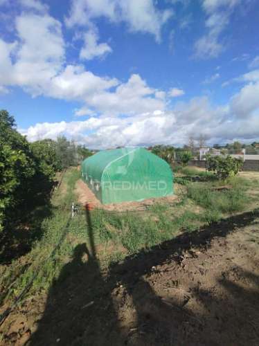 Moradia com terreno, para reconstruir