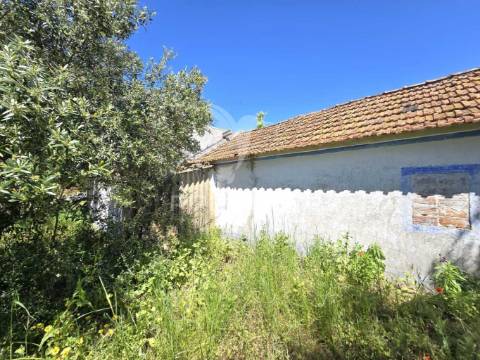 Casa típica para recuperar - grândola
