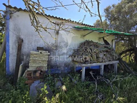 Casa típica para recuperar - grândola