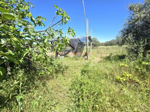 Casa típica para recuperar - grândola