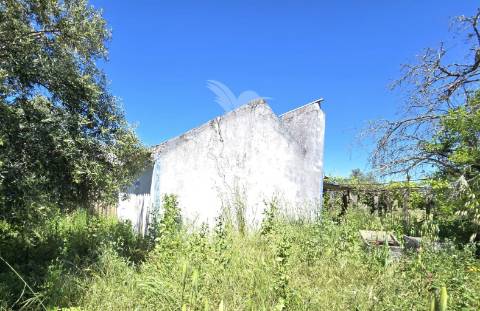 Casa típica para recuperar - grândola