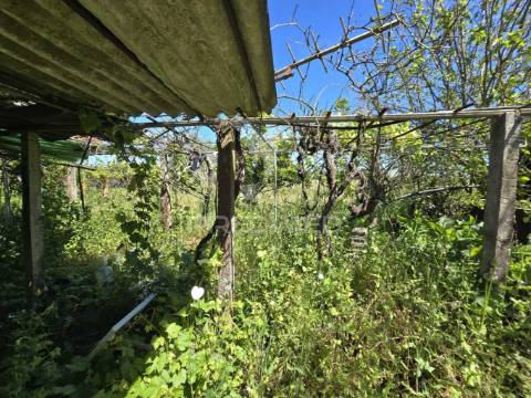 Casa típica para recuperar - grândola
