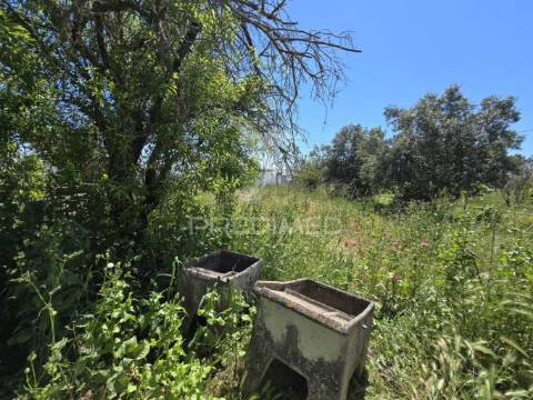 Casa típica para recuperar - grândola