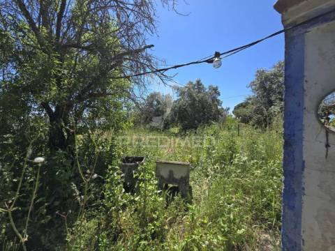 Casa típica para recuperar - grândola