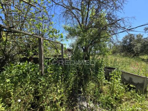 Casa típica para recuperar - grândola