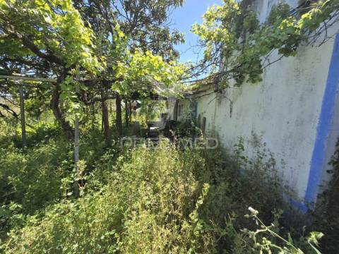Casa típica para recuperar - grândola